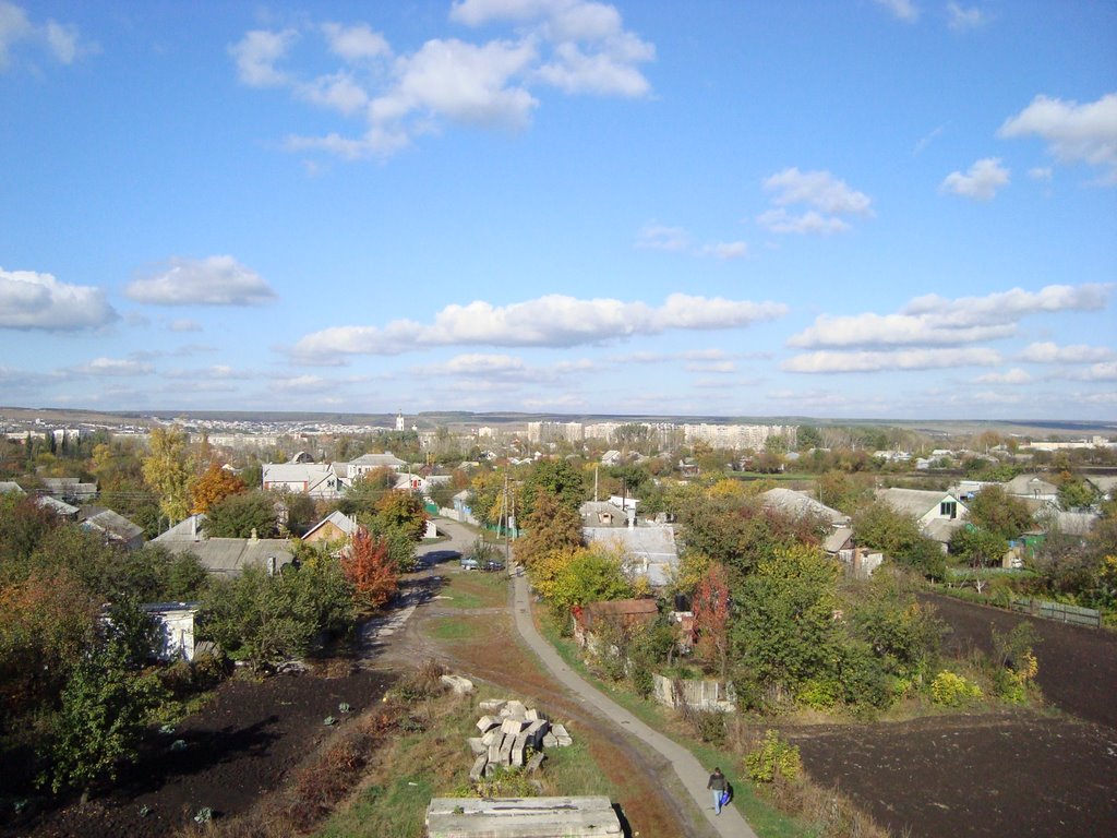 алексеевка (port)