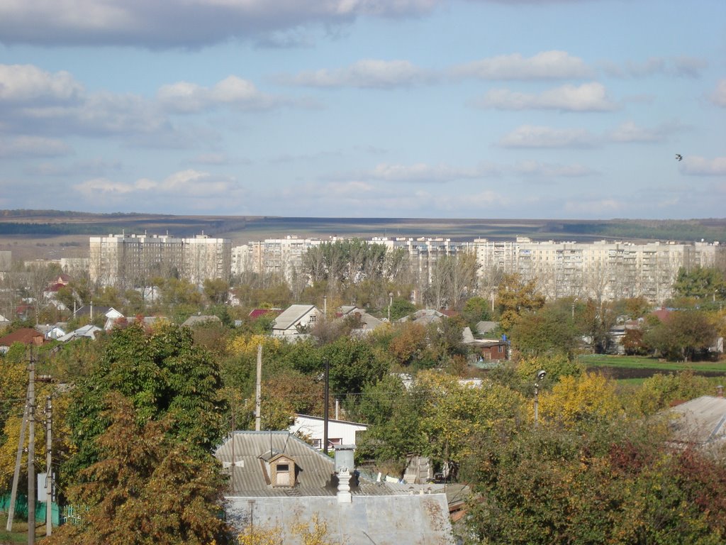 алексеевка (port)
