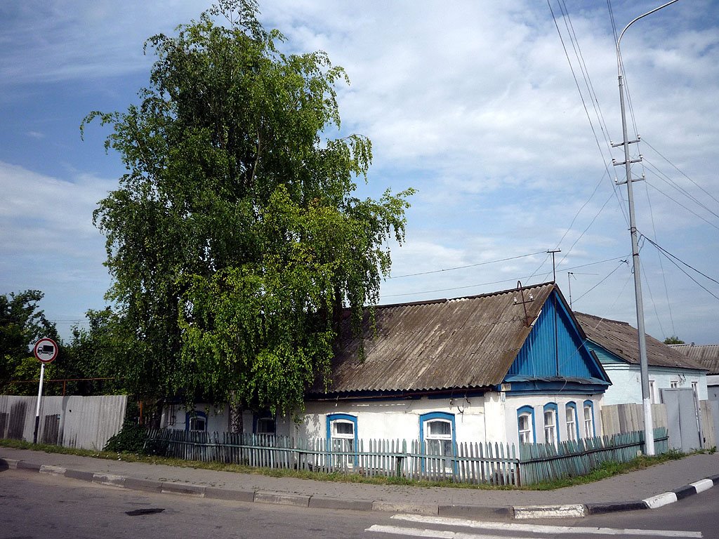 Вот чья-то берёза, чей-то дом родной...