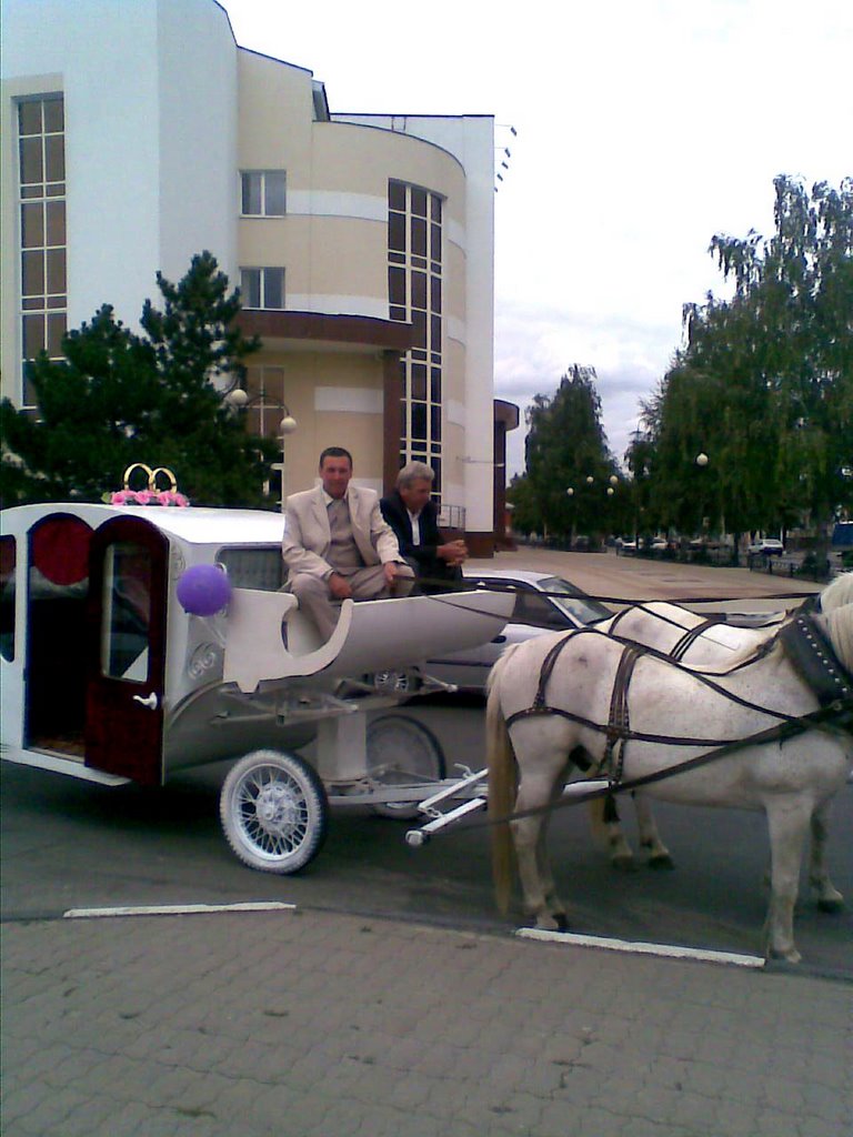 карета и БелГУ