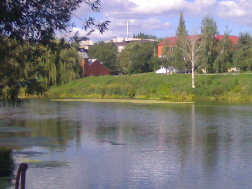 река тихая сосна