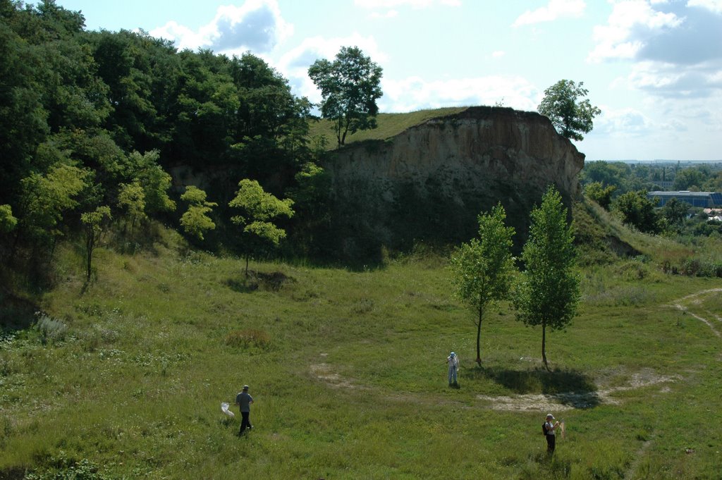 Borisovka
