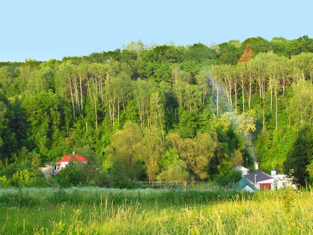 Улочка Борисовки. 13 июня 2012.