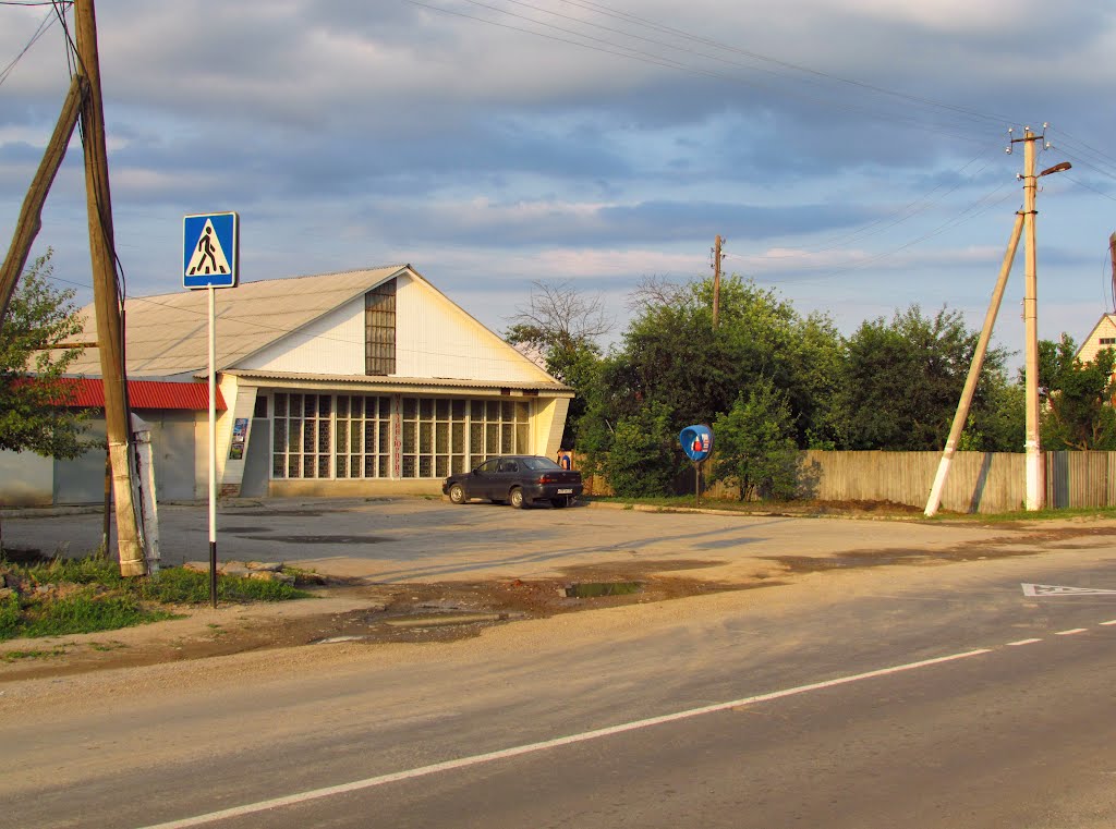 Магазин в бывшем совхозе. 15 июня 2012.