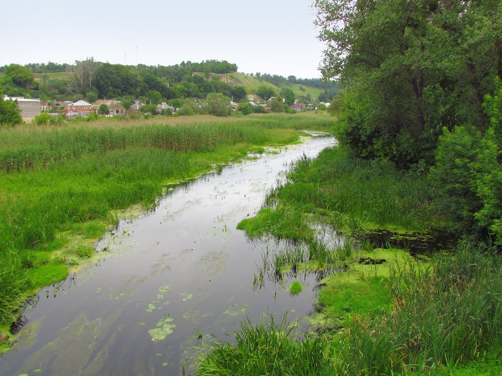 Borisovka