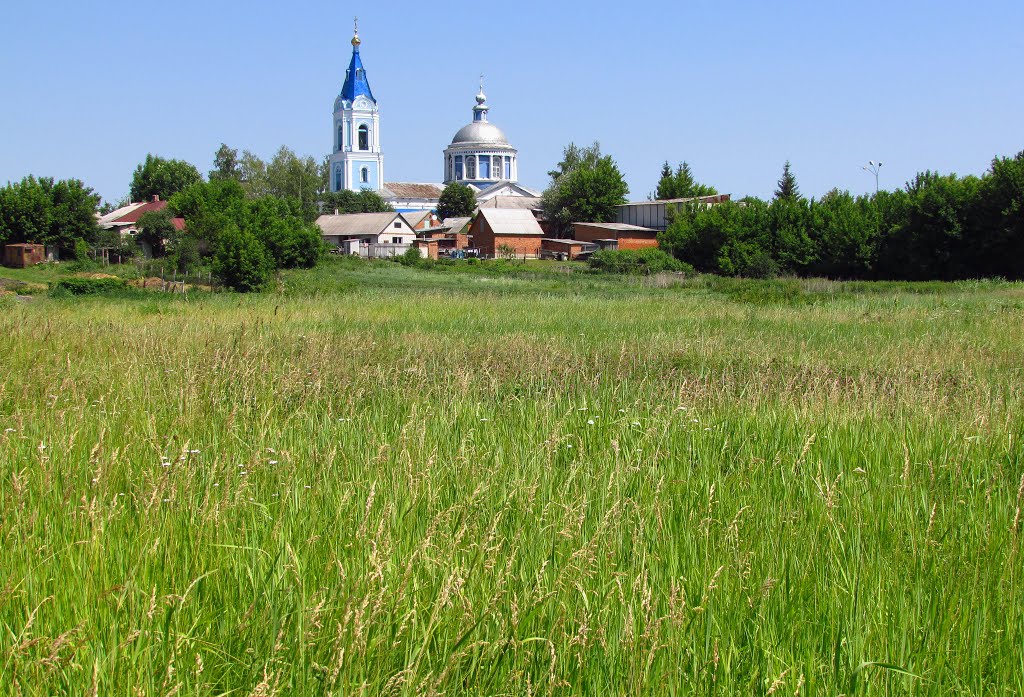 Вид на Борисовку со стороны Борисовского болота. 11 июня 2012.