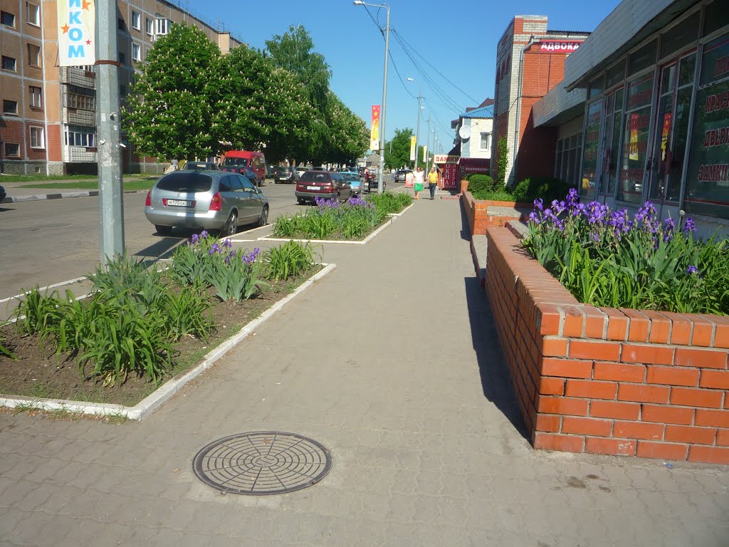 Улица Горького