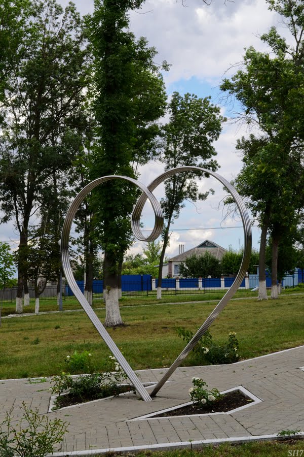 Сердце