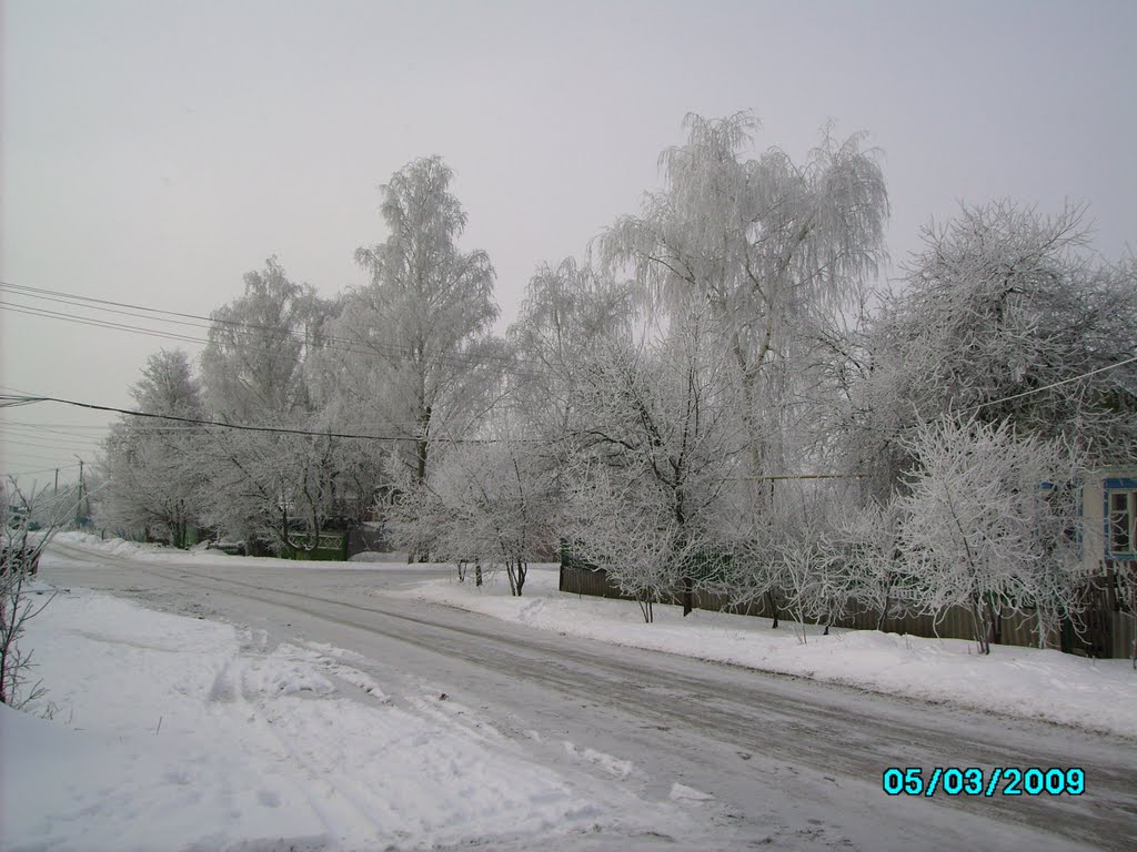 Rime