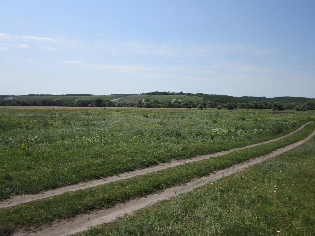 д. Рождественка