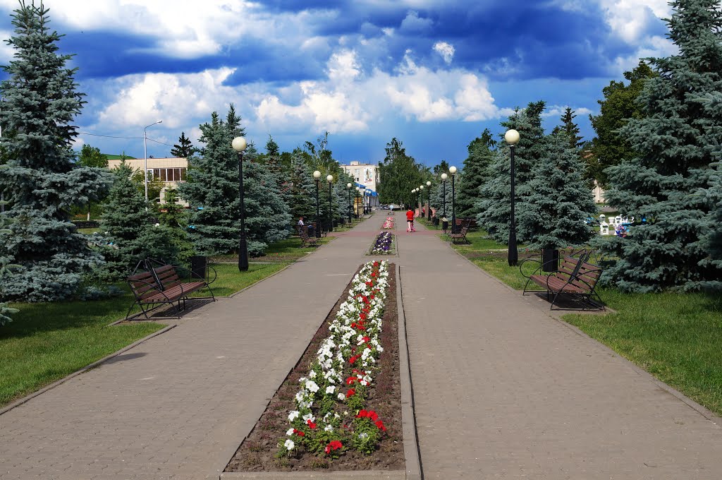 Volokonovka