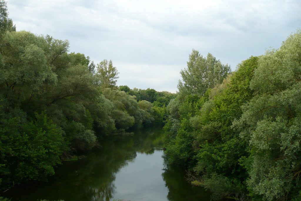 р. Оскол. Пгт. Волоконовка. Белгородская обл.
