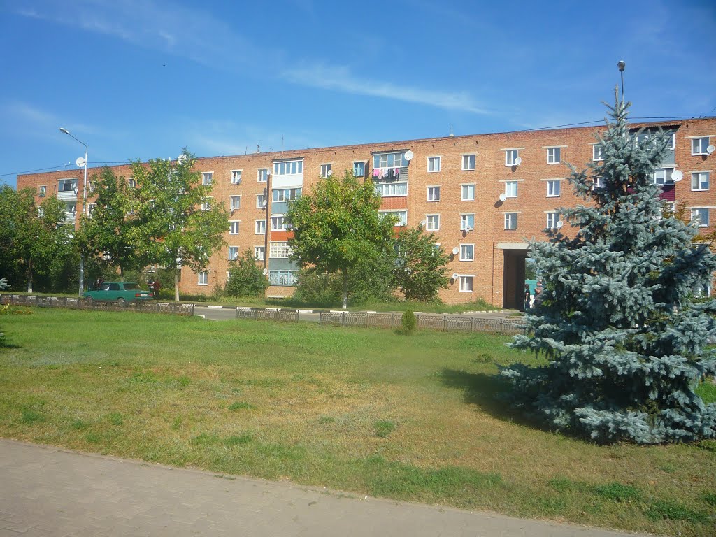 Центр поселка
