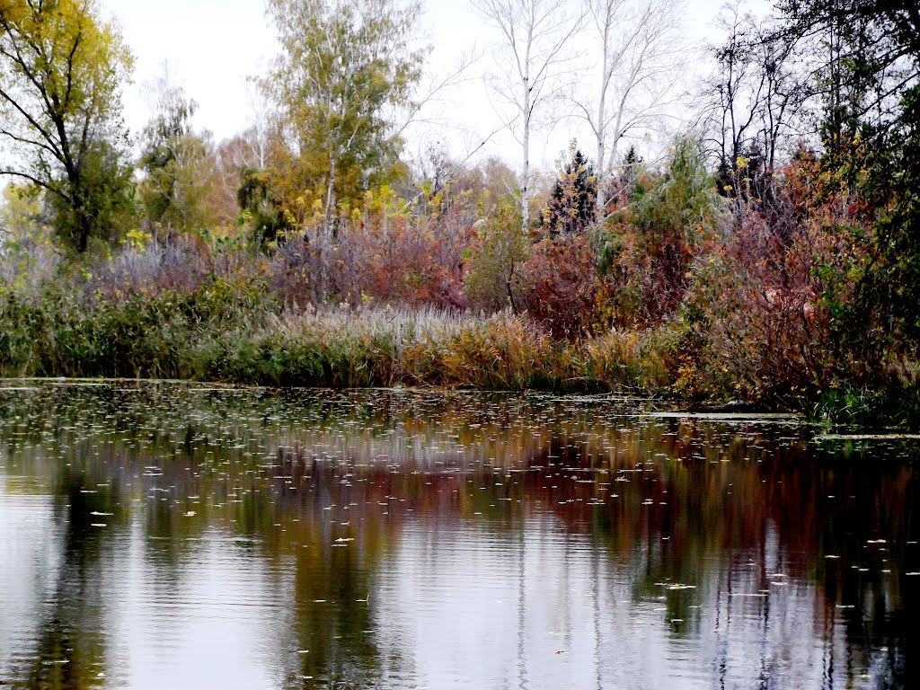 краски осени
