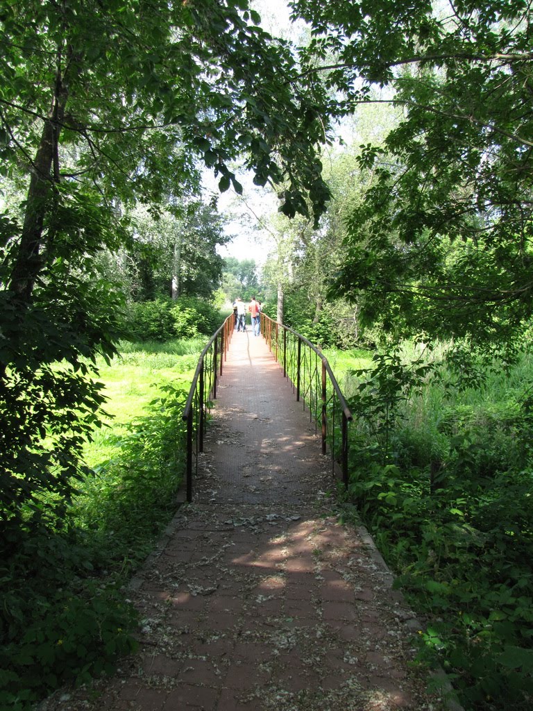 Мост через Грайворонку