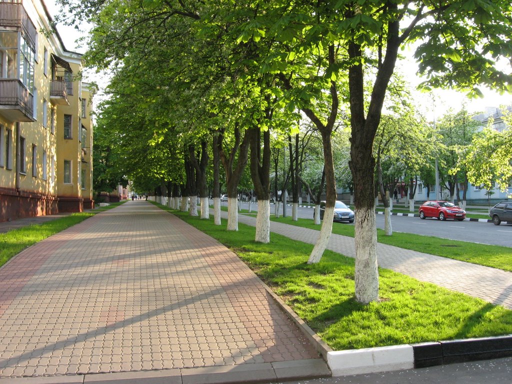 ул. Мира