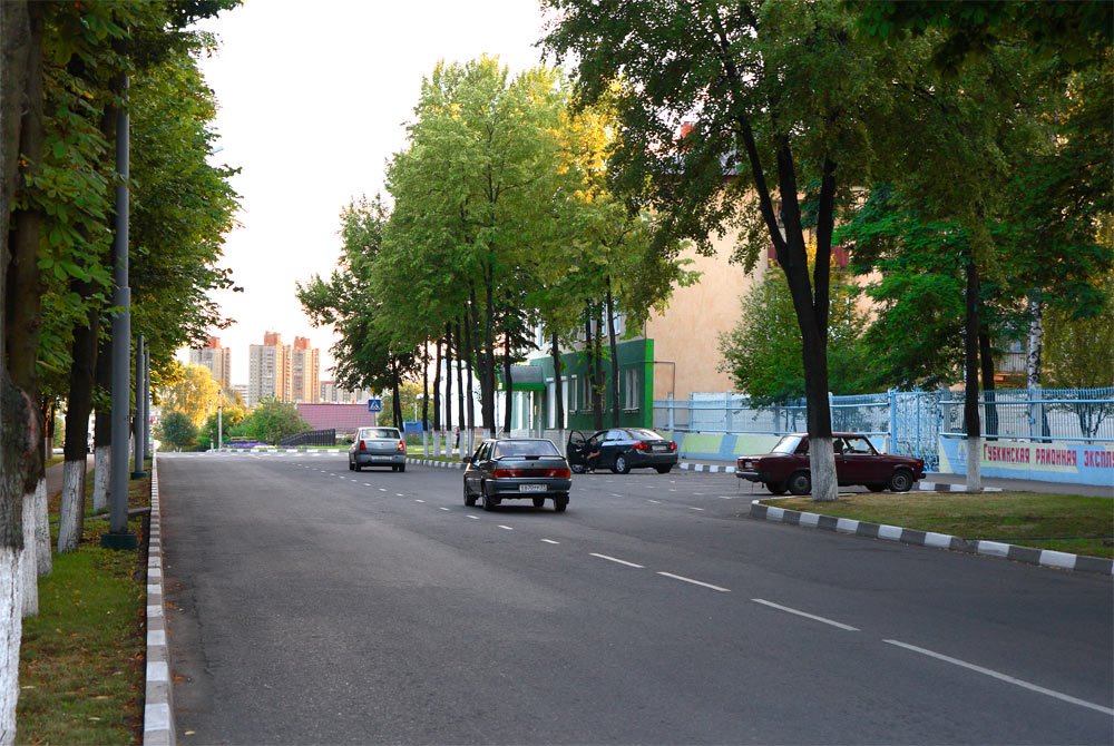 Улица Ленина