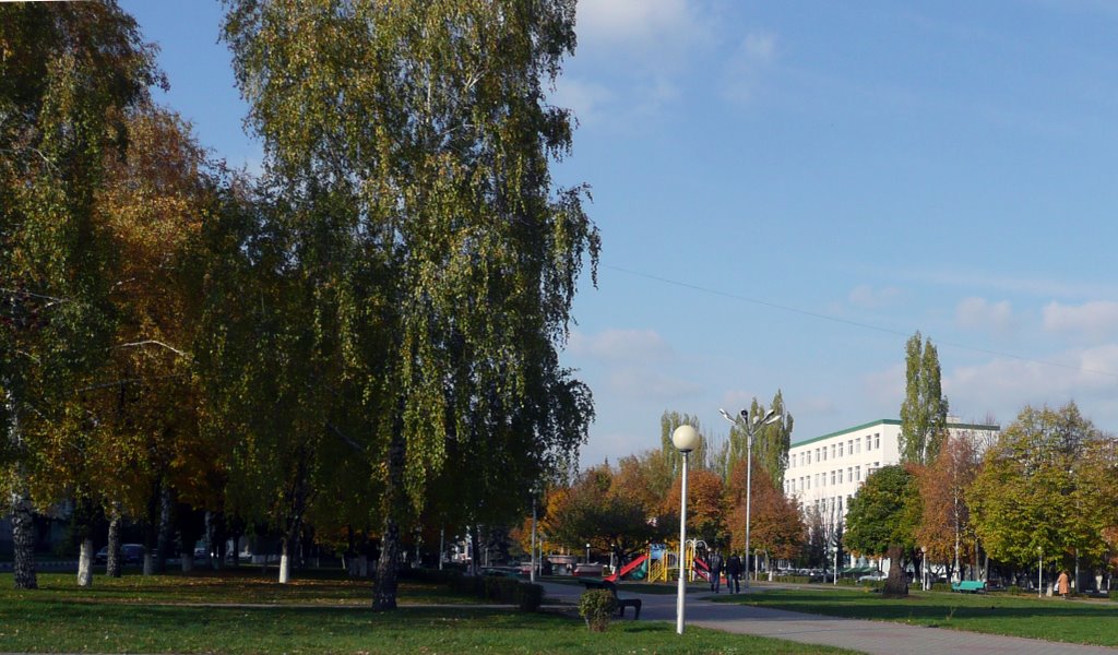 Улица Горького.