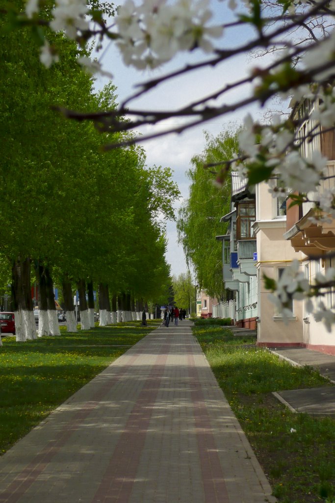 Ул.Чайковского