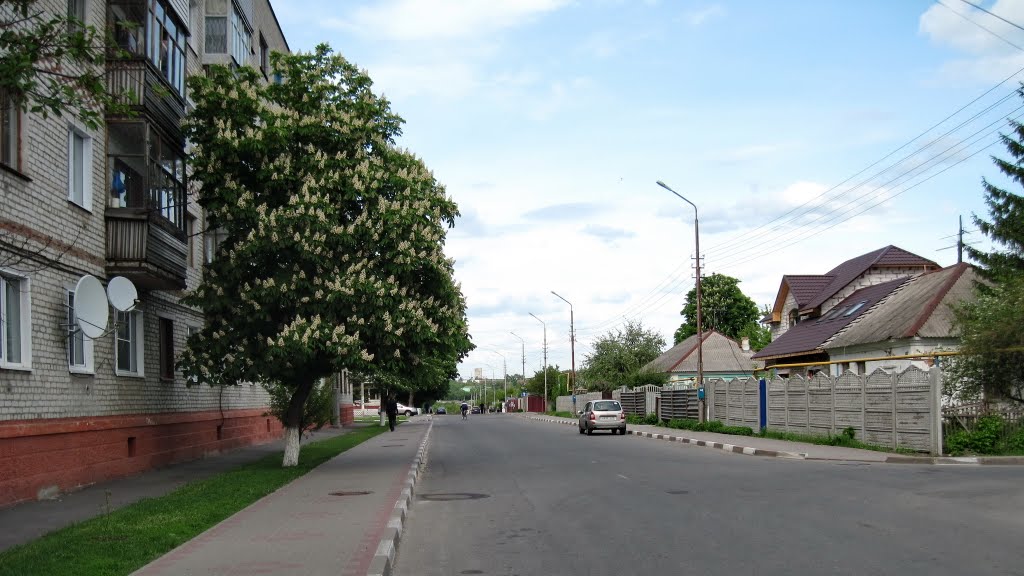 ул. Горького