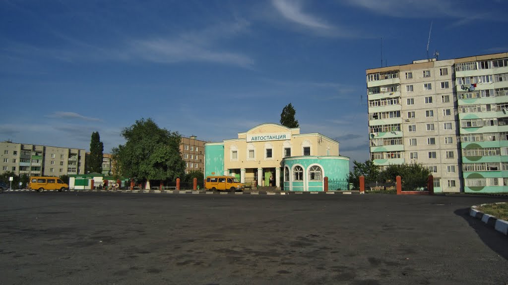 ул. Алехина