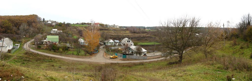 Панорама улицы Партизанской