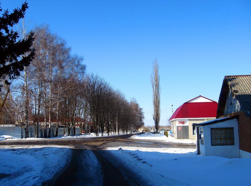 Улица Космонавтов
