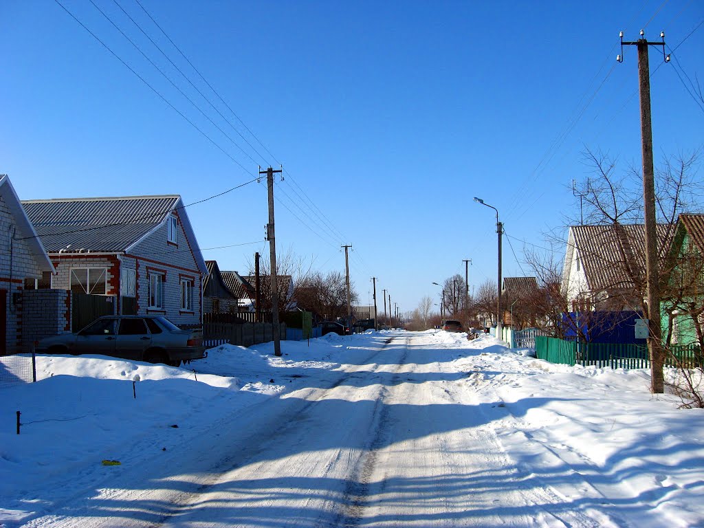 Партизанская улица