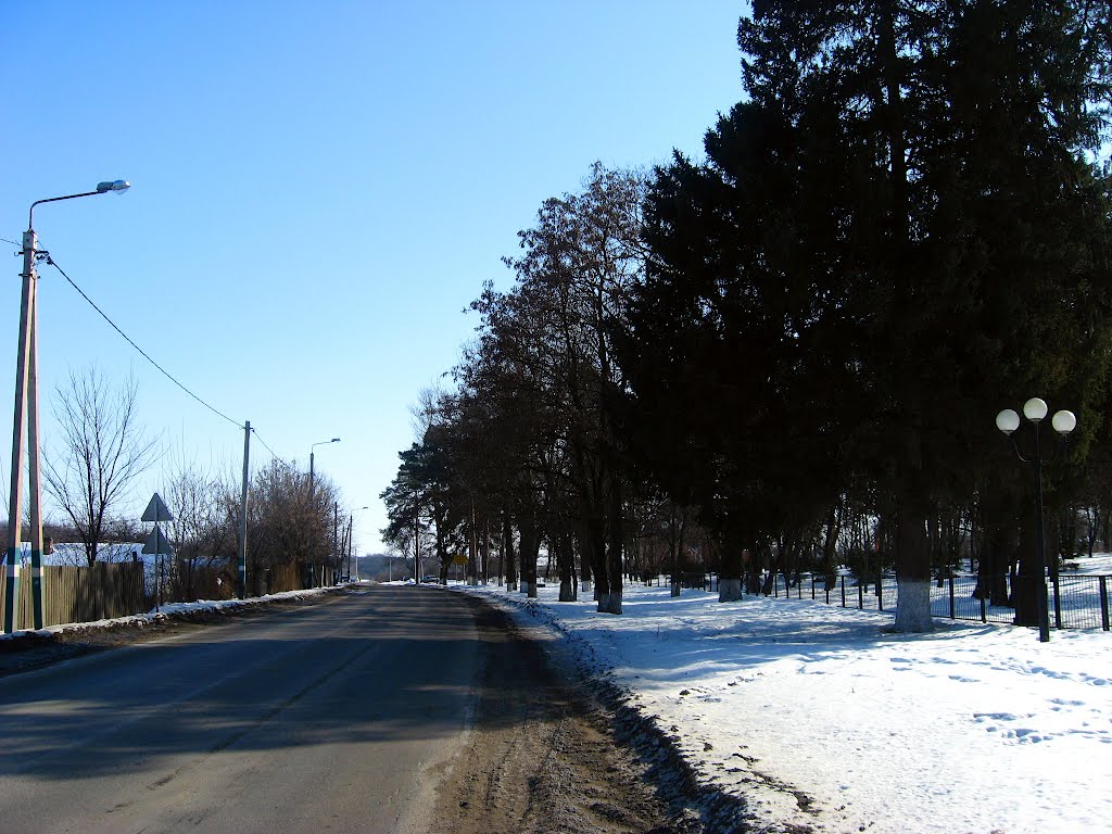 Дорога возле санатория