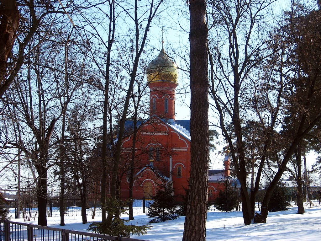 Храм за деревьями