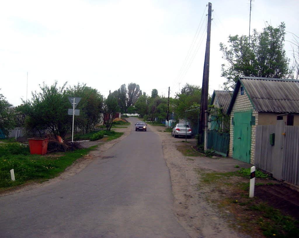 Улица Заречная