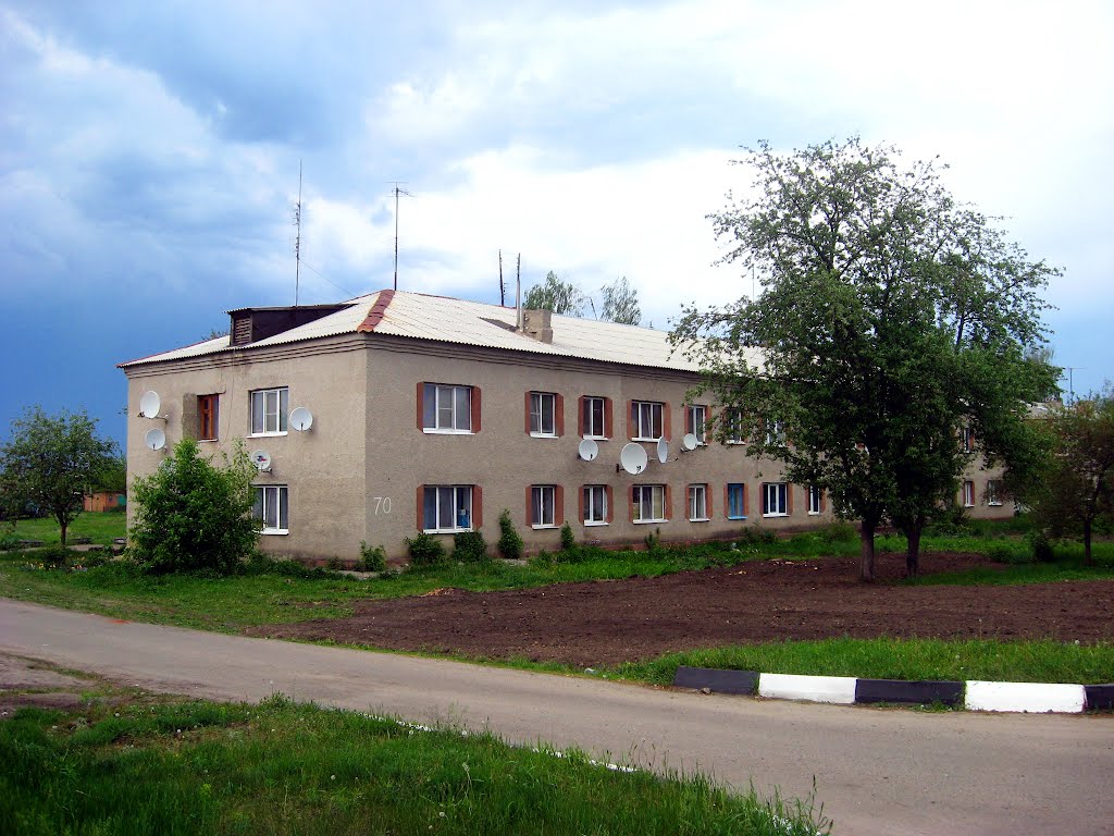 ул. Десницкого, 70