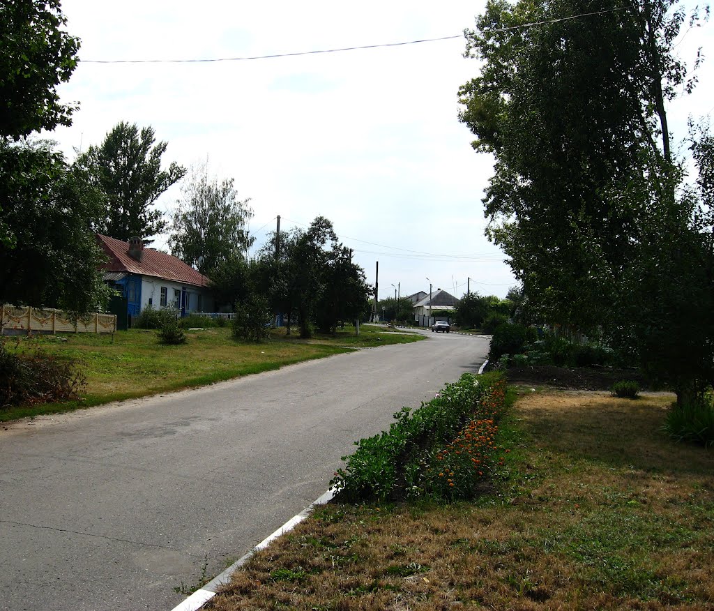 Улица Гайдара