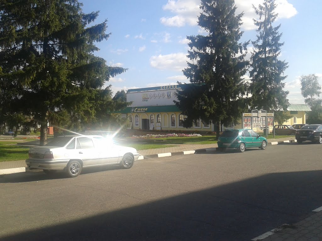 Кинотеатр Смена