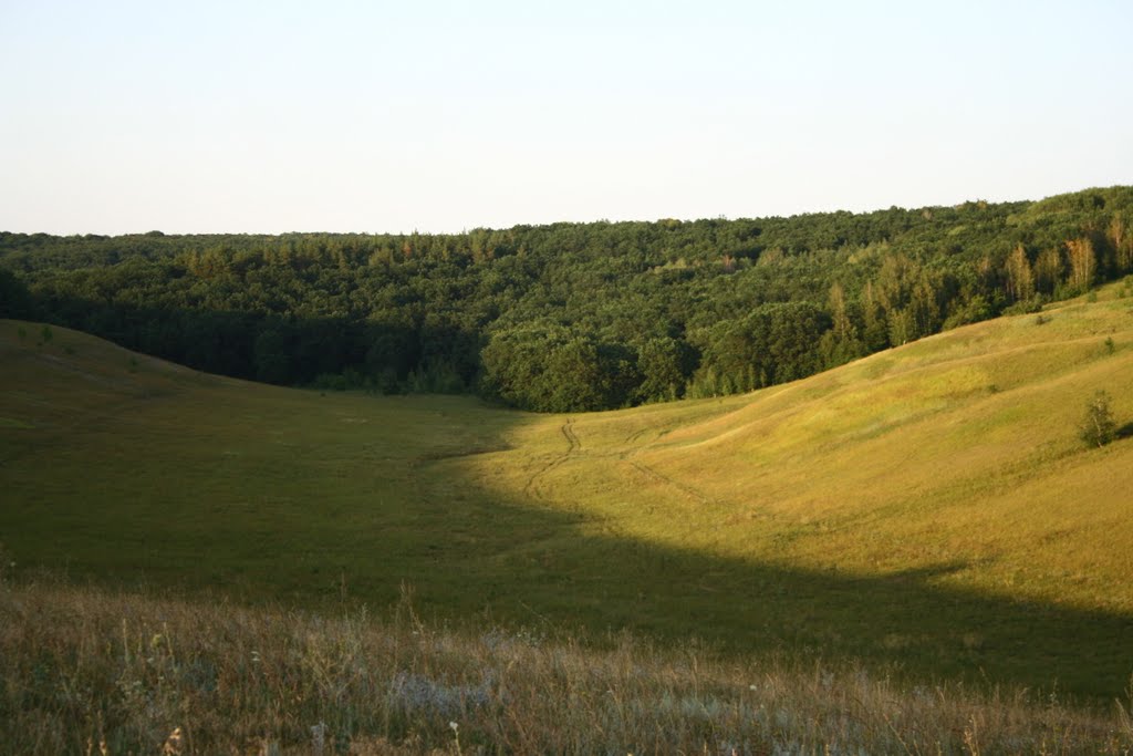 у села Короткое