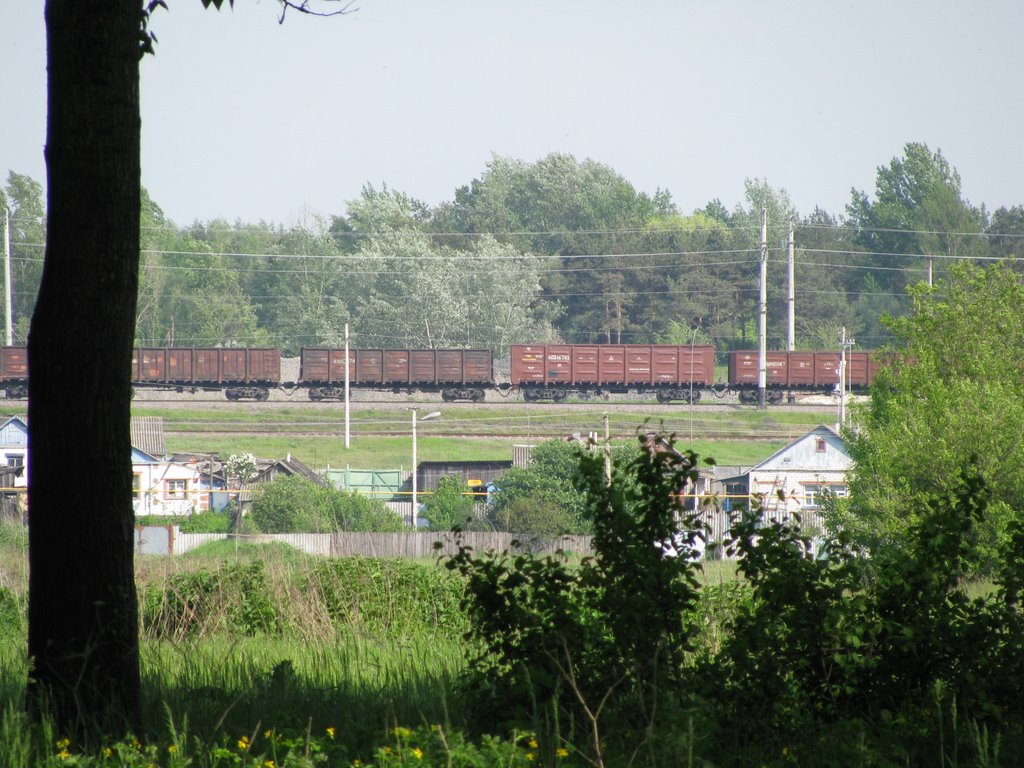 N.Oskol