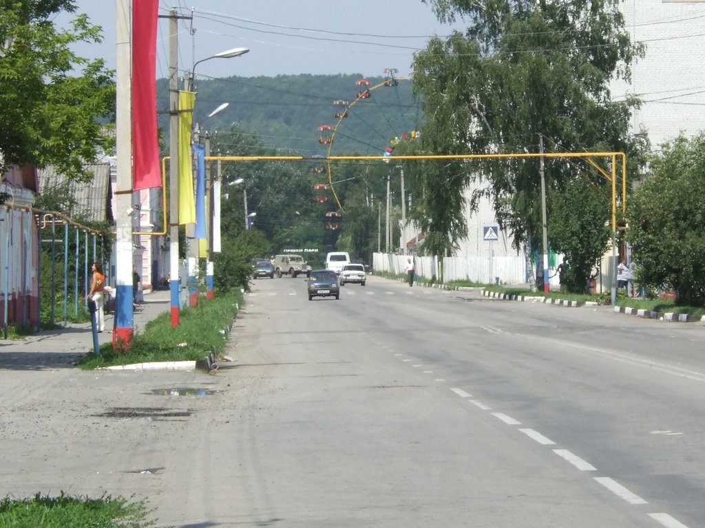 Вид на колесо обозрения