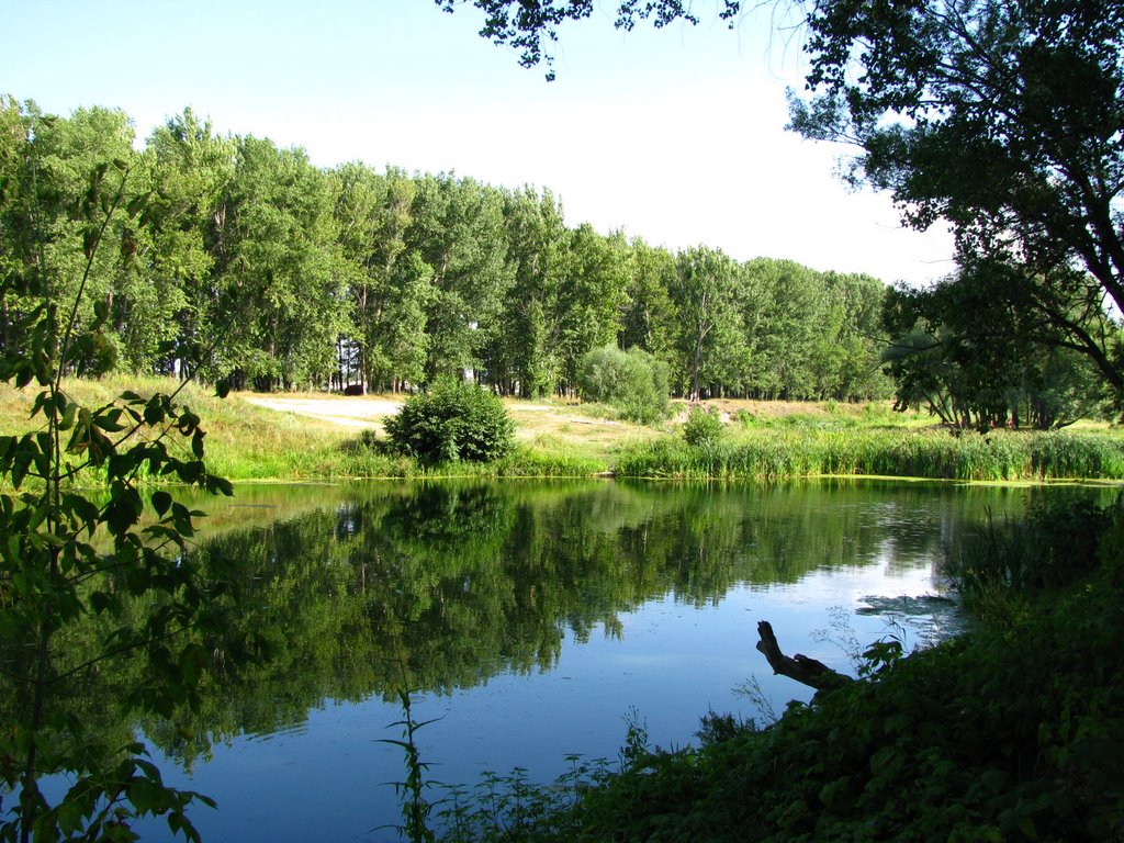 р. Оскол