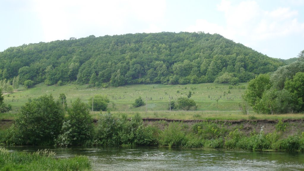 речка Оскол
