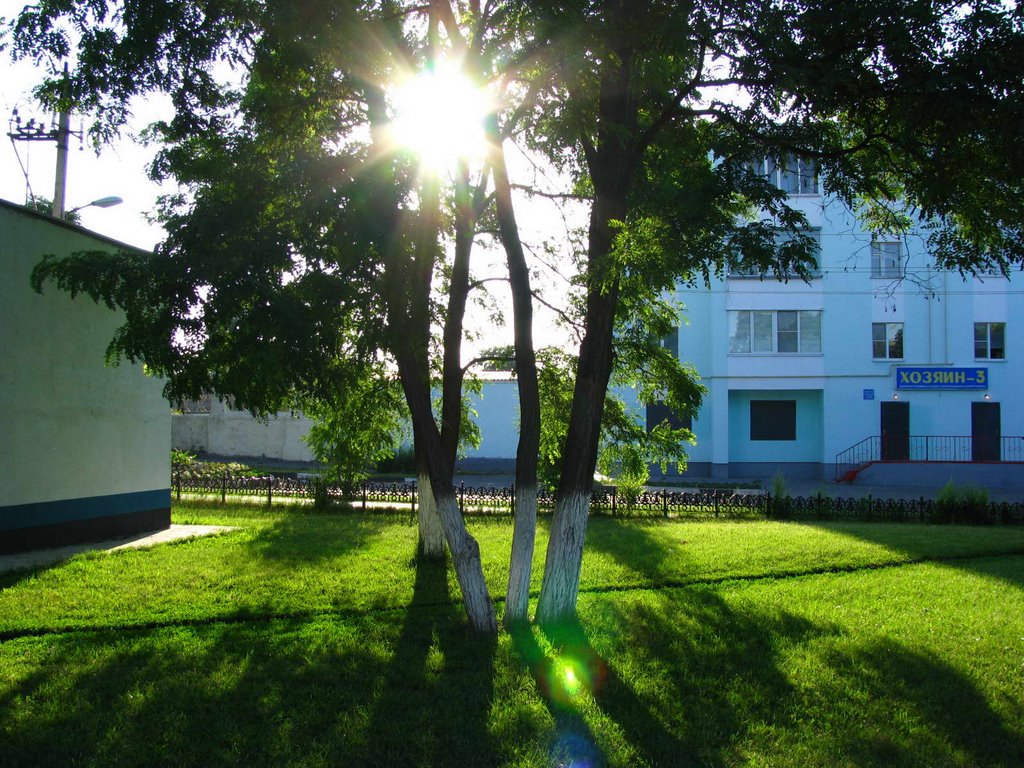 Городской сквер