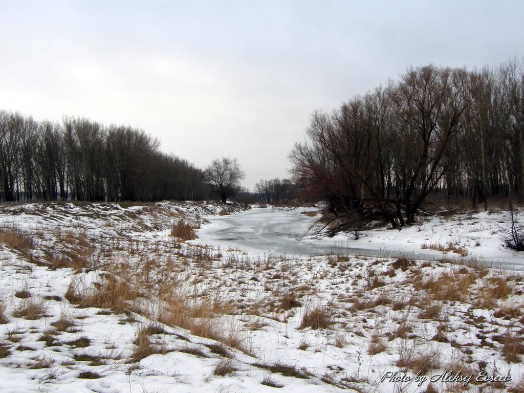 р. Оскол. Январь 2009 г.