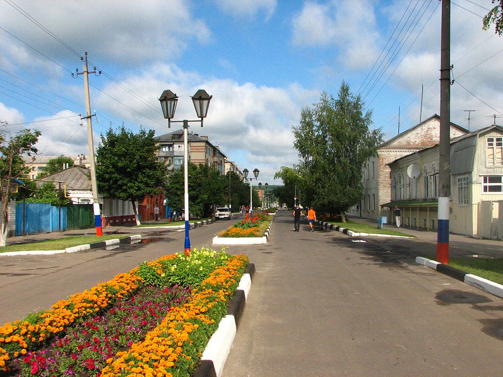 Улица в Новом Осколе