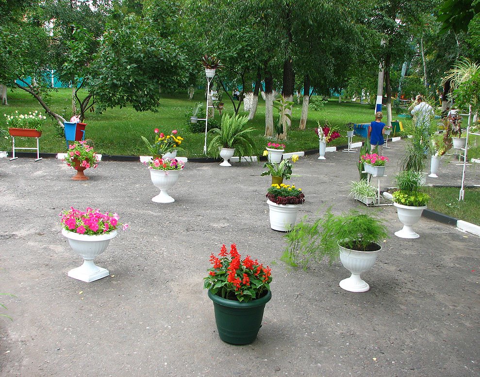В городском парке