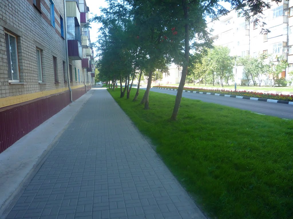 Новый оскол