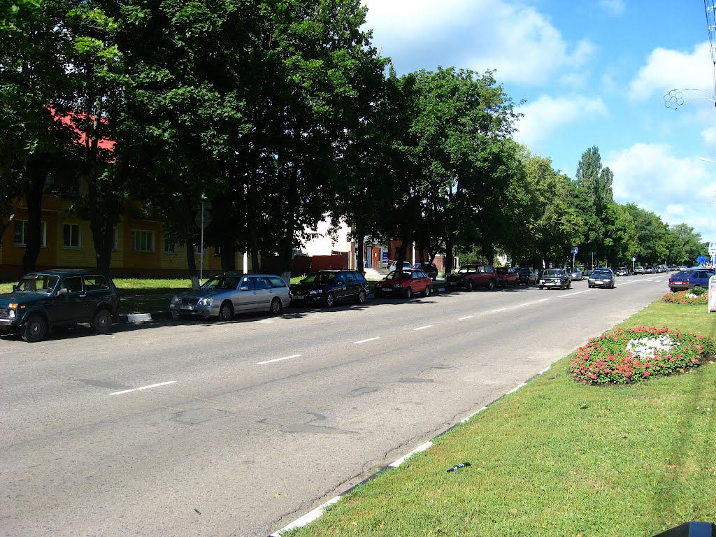 Пролетарская улица