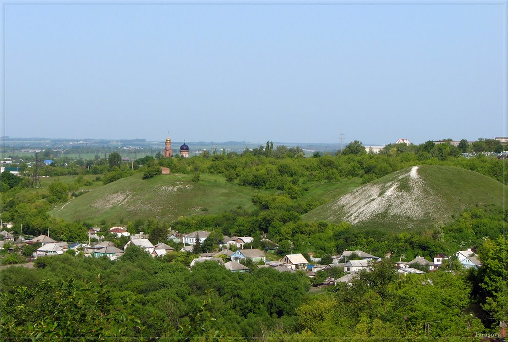Вид на Казацкие бугры