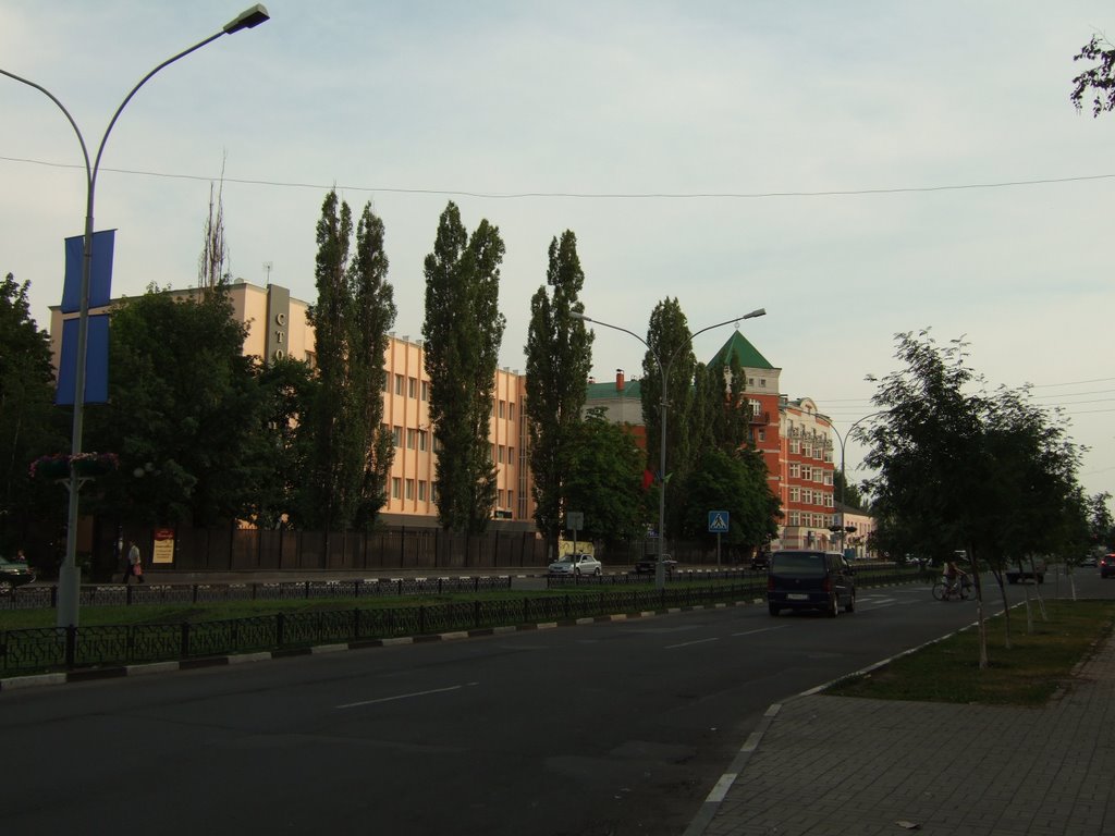 Комсомольский проспект