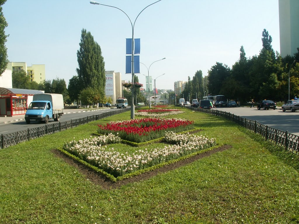 Komsomolsky avenue