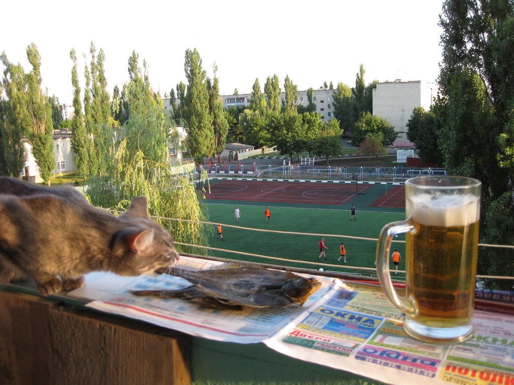 Болельщик