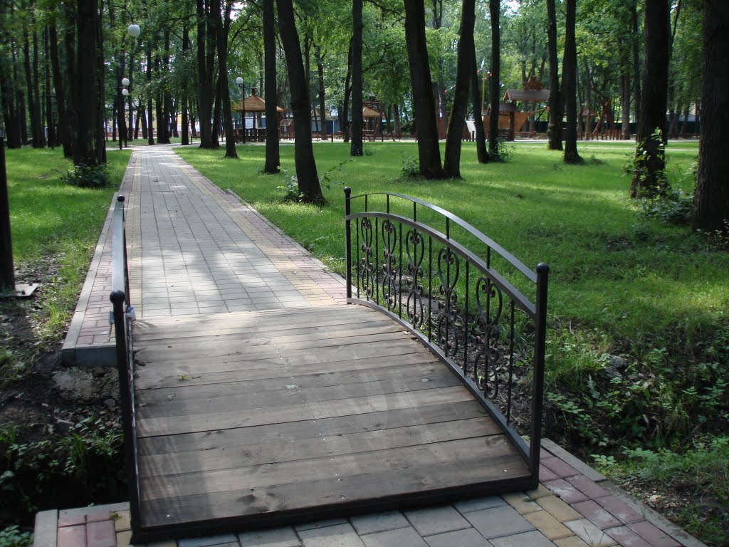 Мостик в парке Маршалково